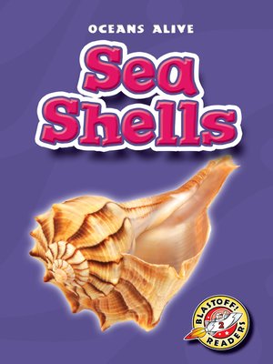 cover image of Sea Shells